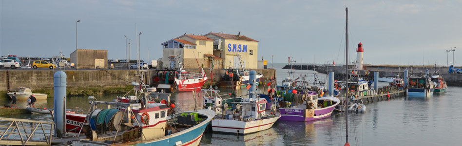 port cotiniere