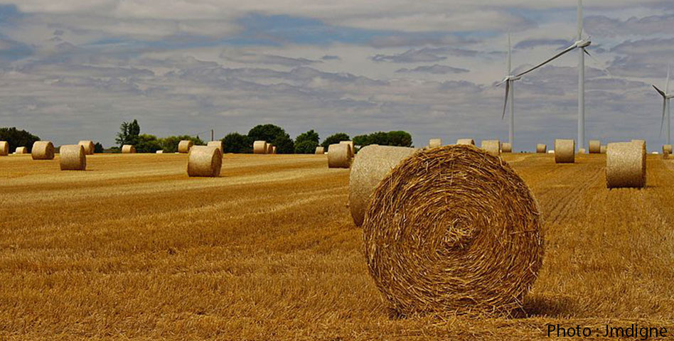 Activité agricole en Vendée
