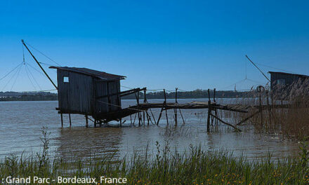 Les Cabanes de pêcheurs en Charente-Maritime